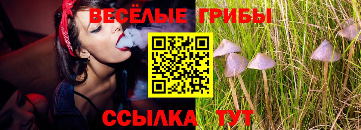 Псилоцибиновые грибы ЛСД  Вход с VPN  Галлюциногенные грибы Psilocybe  Дербент 